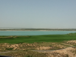 Golf course and mangroves