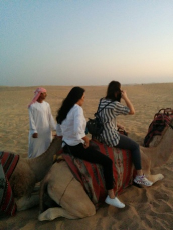 getting ready for a round on a camel