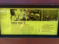 Swan Bells history