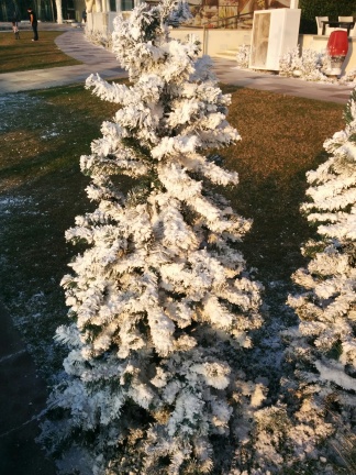 Artificial trees with snow
