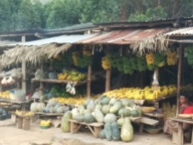 Roadside market full of fresh fruits and vegetables